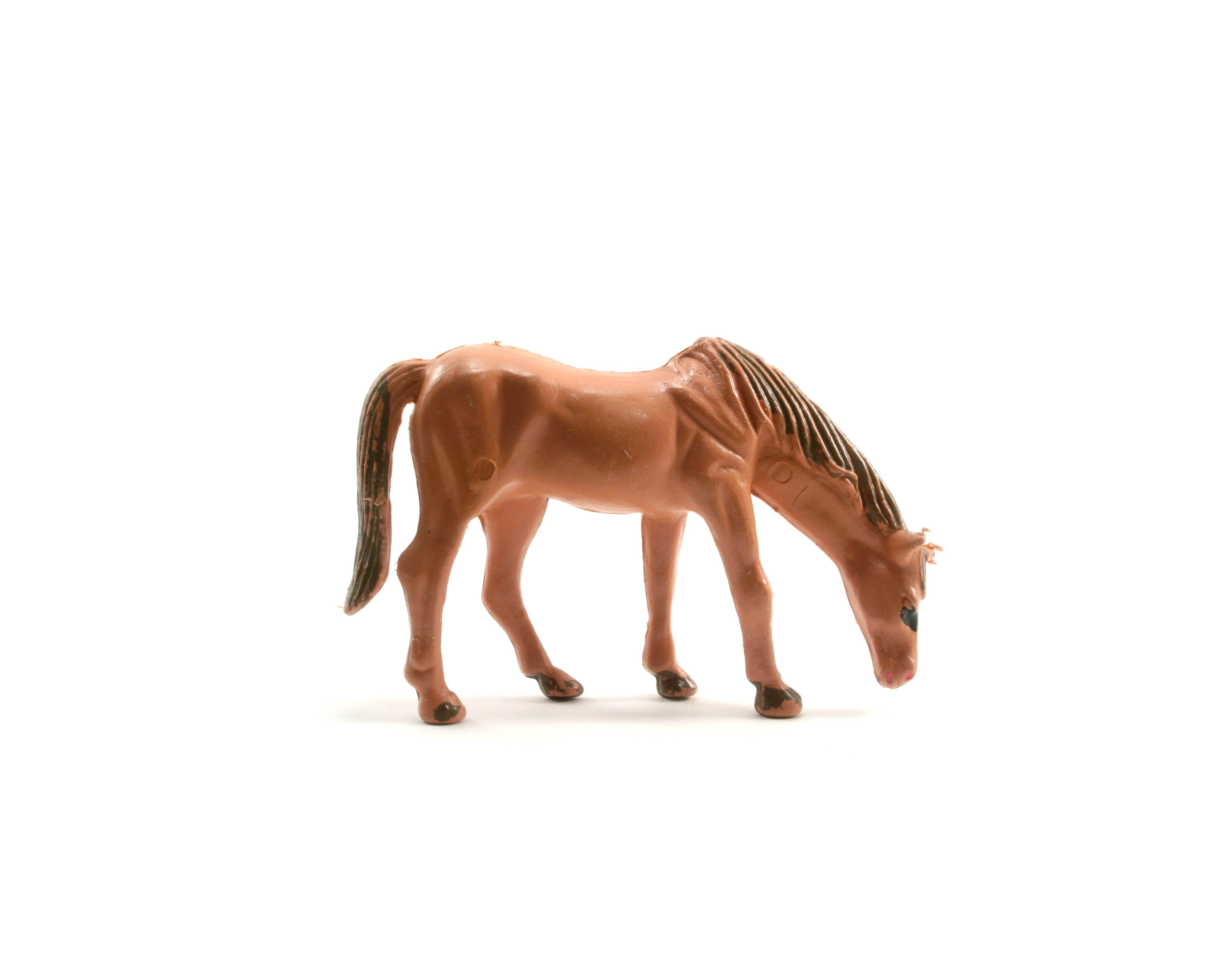 Horse Dildos, why are they so popular?